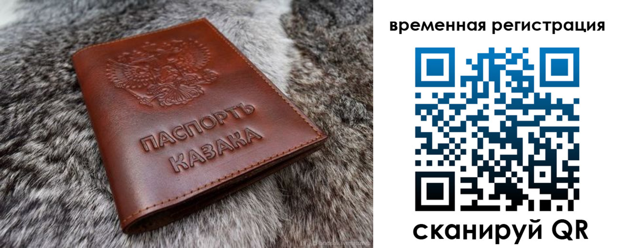 прописка 2025 в Бронницах